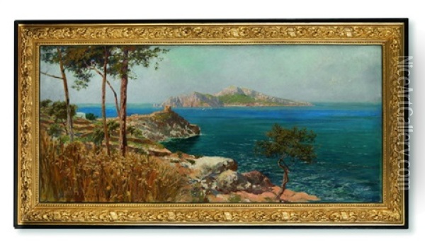 Blick Auf Capri Von Sorrent Oil Painting - Carlo Brancaccio