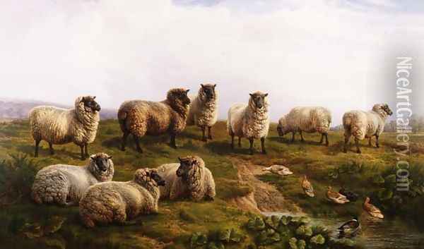 Welsh Black Faced Sheep Oil Painting - Charles Jones