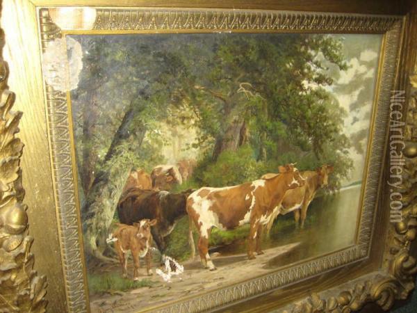 Cows Watering At A Stream Oil Painting - John Jay Barber