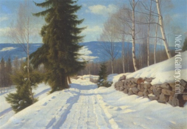 Solrig Vinterdag I Skoven Oil Painting - Axel Birkhammer