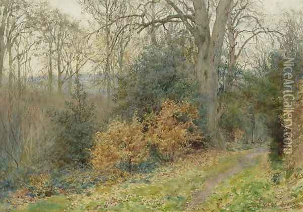 Path Through the Wood, 1902 Oil Painting - Wilmot, R.W.S. Pilsbury