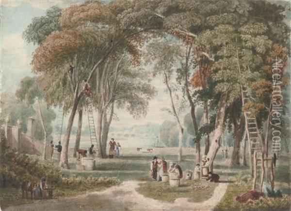 Chestnut Gathering Near Richmond Bridge Oil Painting - William Havell