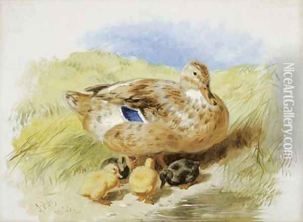 A Duck And Ducklings Oil Painting - John Frederick Herring Snr