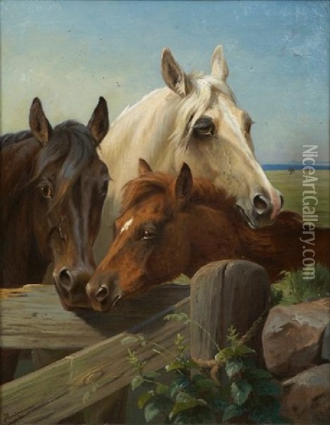 Horses In A Corral Oil Painting - Adolf Heinrich Mackeprang