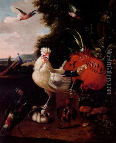Lanskap Med Faglar Oil Painting - Melchior de Hondecoeter