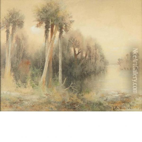 Florida Swampscape Oil Painting - James Ralph Wilcox