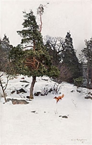 Rav I Vinterlandskap Oil Painting - Alfred Mauritz Bergstroem