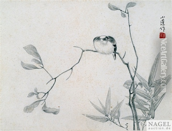 Vogel Auf Einem Zweig Oil Painting -  Zhang Pan