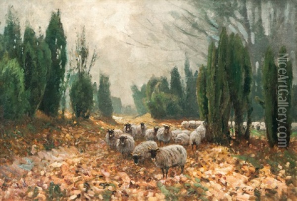 Sheep Oil Painting - Fritz Grebe