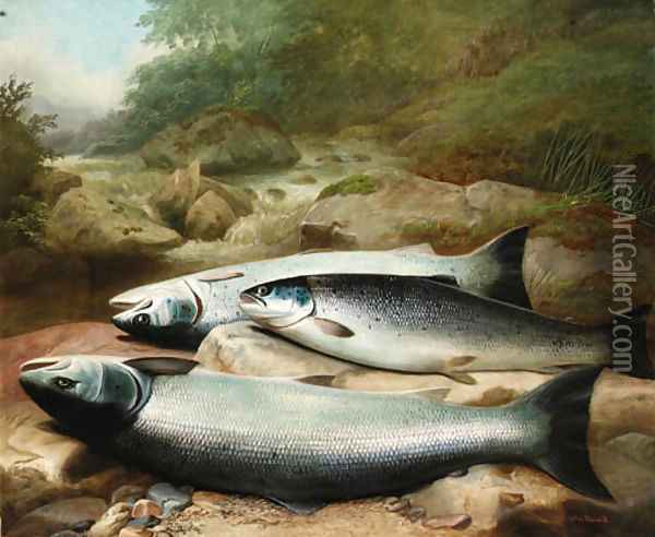 Three Salmon on a Rocky Riverbank Oil Painting - John Russell