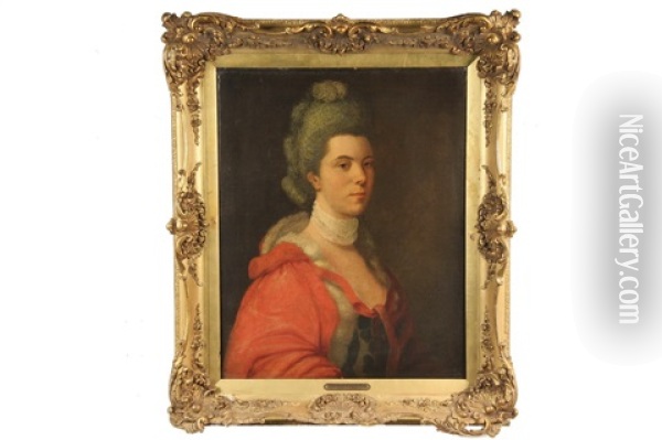 Aristocratic Lady Oil Painting - Francis Cotes