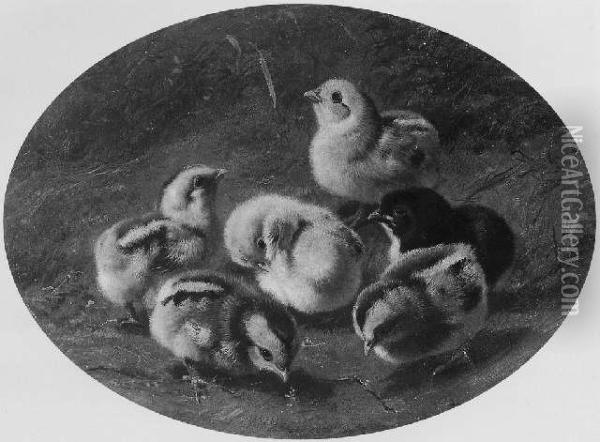 Chickens Oil Painting - Arthur Fitzwilliam Tait