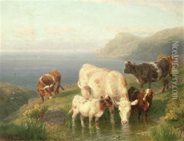 Cattle On A Cornish Coast Oil Painting - William R.C. Watson