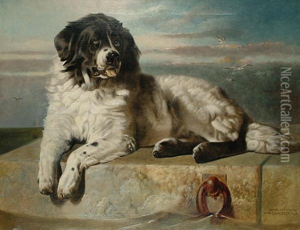 A Distinguished Member Of The Humane Society. Oil Painting - Walter Harrowing