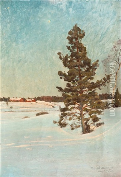 A Sunny Winter Landscape Oil Painting - Edvard (Edouard) Westman