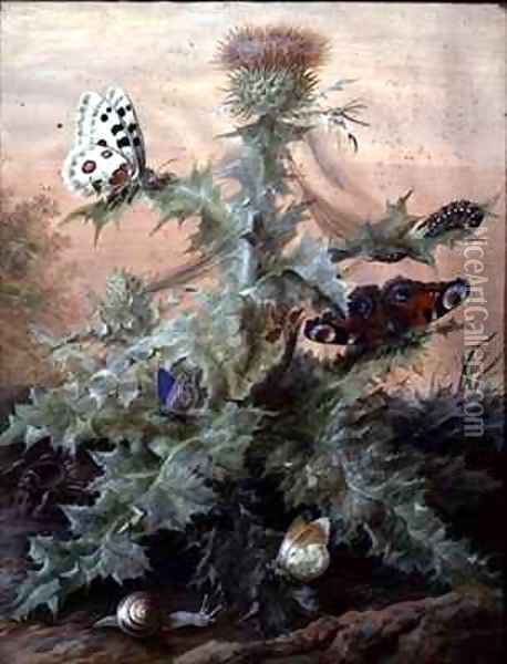 Insects Around a Thistle Oil Painting - Margaretha Barbara Dietzsch