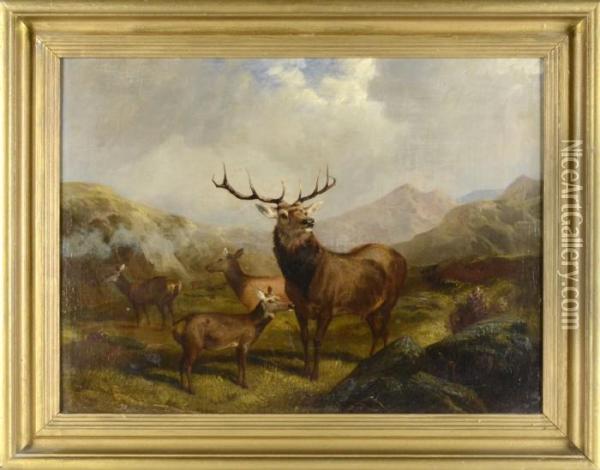 Landskap Fran 'the Highlands' Med Kronhjortar Oil Painting - Byron Webb