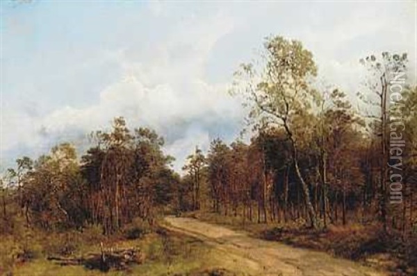 Strandvejen Gennem Hornbaek Plantage Oil Painting - Vilhelm Peter Carl Petersen