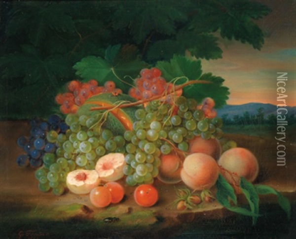 Stilleben Mit Fruchten, Trauben, Melone, Pfirsichen Und Haselnussen Oil Painting - George Forster