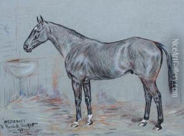 'wellesley' In Its Stable Oil Painting - W. Wasdell Trickett