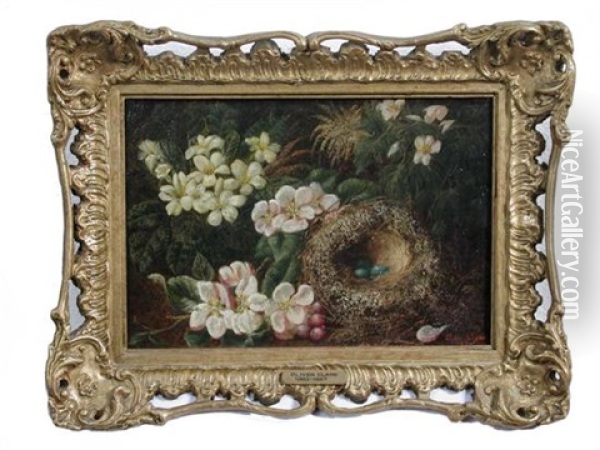 Bird's Nest With Primroses And Dog Roses On A Bank (study) Oil Painting - Oliver Clare