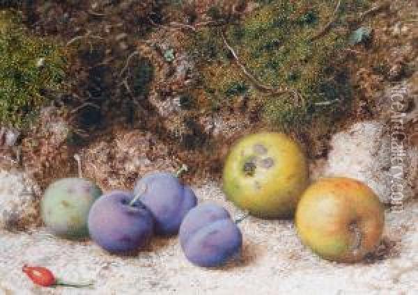 Still Life Of Plums And Apples Oil Painting - John Sherrin