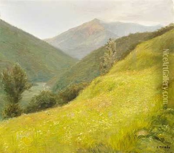 Frodigt, Gront Bjerglandskab Oil Painting - Carl Vilhelm Holsoe