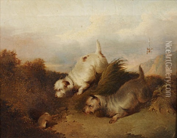 Terriers Chasing A Rabbit Down A Hole (+ Spaniels Flushing Out A Duck; Pair) Oil Painting - Paul Jones