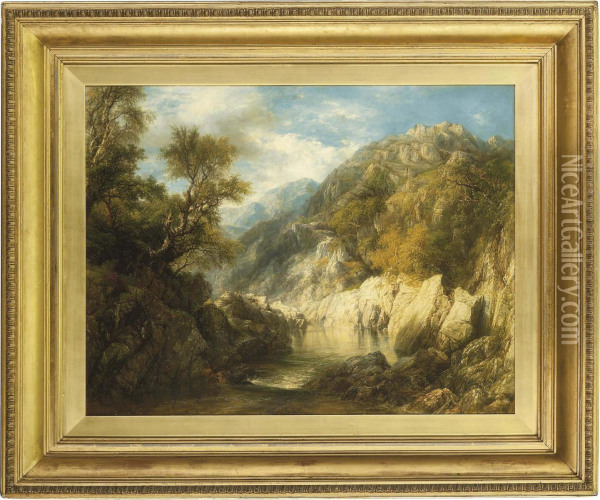 A Rocky Gorge Oil Painting - Frederick Henry Henshaw