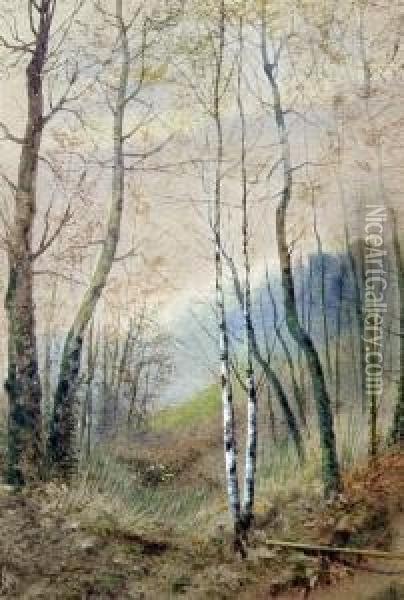 Birch Trees And Pond Oil Painting - James Lawson Stewart