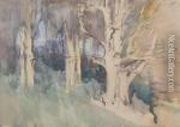 Taustralian Woods In Morning Light Oil Painting - Arthur Ernest Streeton