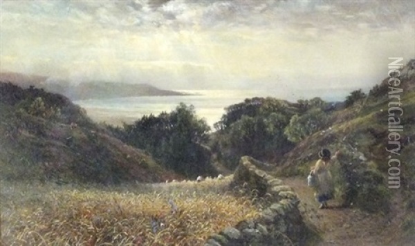 Coastal View Near Barmouth, North Wales Oil Painting - Charles James Lewis