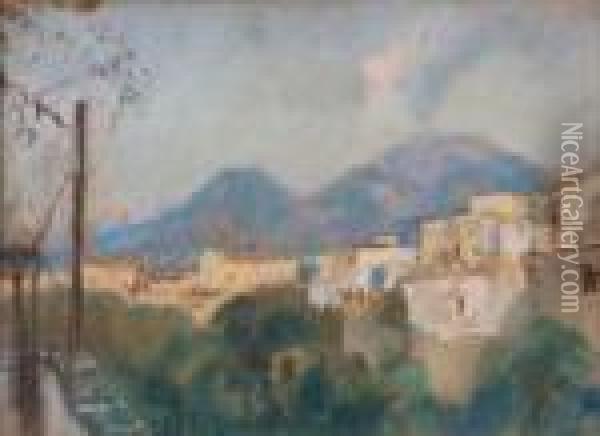 Veduta Del Vesuvio Oil Painting - Gennaro Villani