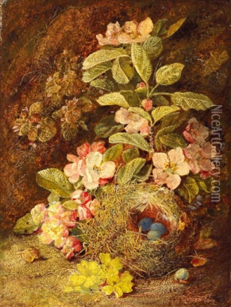 Waldbodenstillleben Mit Wildrosen Und Vogelnest Mit Gelege Oil Painting - Vincent Clare