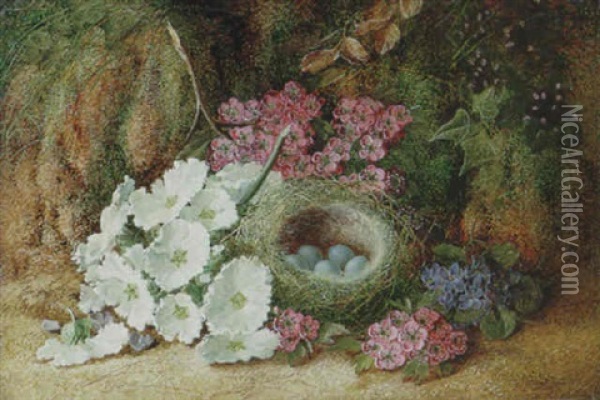 Primroses, Blossom And A Bird's Nest Oil Painting - Vincent Clare