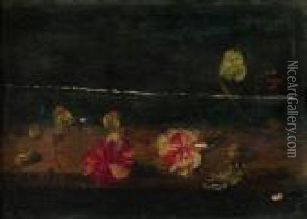 etude De Fleurs Et D'insectes Sur Un Entablement Oil Painting - Frans Ykens