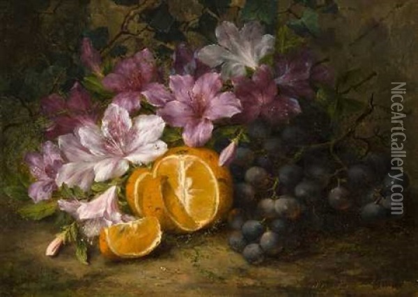 Stillleben Mit Azaleen, Einer Orange, Weintrauben Und Efeu Oil Painting - Margaretha Roosenboom