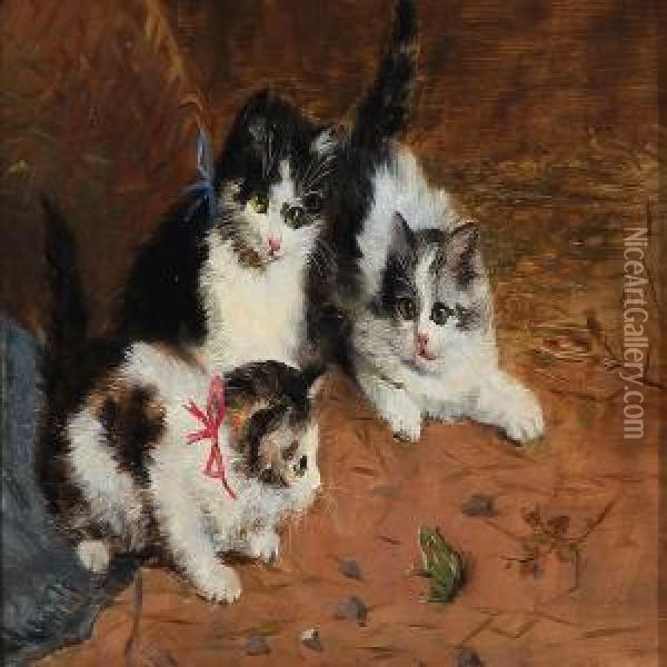 Three Kittens And A Frog Oil Painting - Willand