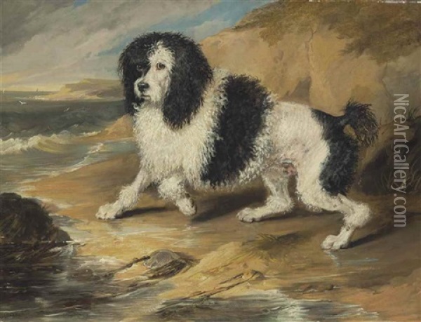 Tapageur, The Poodle Belonging To The Honorable Frederick Byng Oil Painting - Sir Edwin Henry Landseer