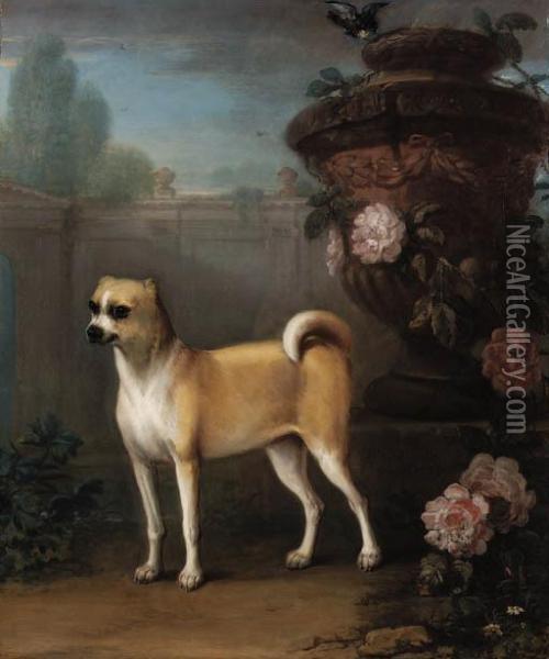 A Pug Beside A Classical Urn Oil Painting - John Wootton