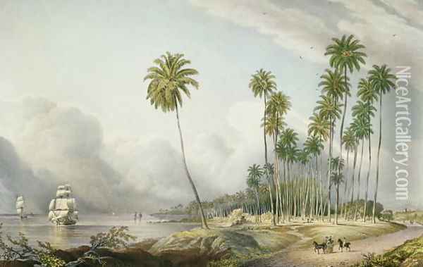 Cocoa Nut Walk on the Coast Near Runaway Bay Oil Painting - Joseph Bartholomew Kidd