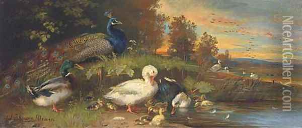Ducks and a peackock at a lakeside Oil Painting - Julius Scheurer