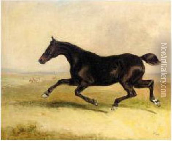 The Runaway Horse Oil Painting - Thomas Woodward