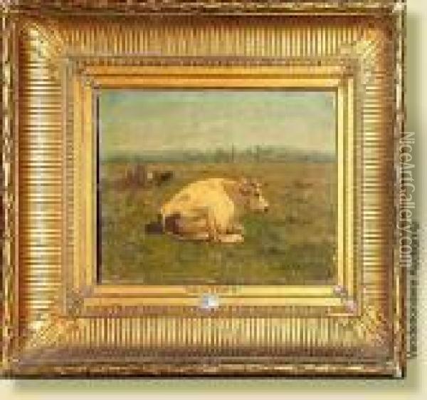 Vache Couchee Au Pre Oil Painting - Alfred Jacques Verwee