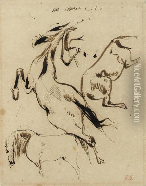 Studies Of Three Horses Oil Painting - Eugene Delacroix