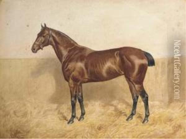 Polly, A Bay Horse In A Stable Oil Painting - Alfred Bright
