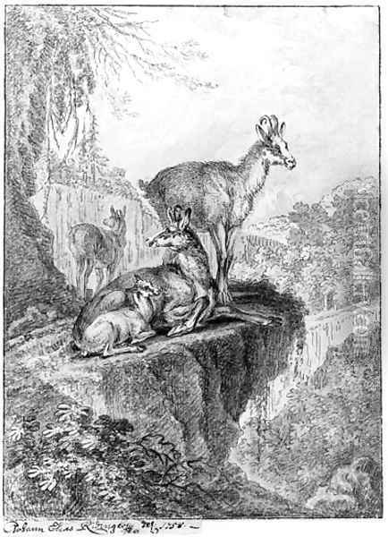 Chamois in a rocky wooded Landscape Oil Painting - Johann Elias Ridinger or Riedinger