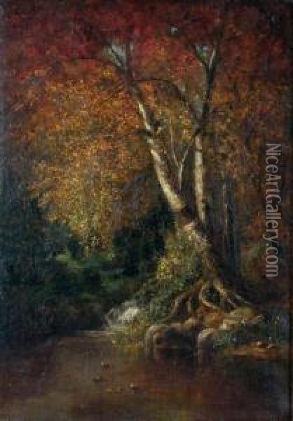 Autumn In The Woods Oil Painting - Thomas Addison Richards