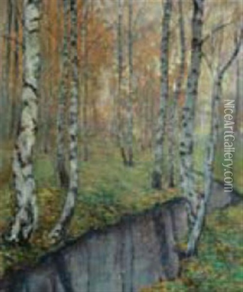 Lesni Potok S Brizkami Oil Painting - Alois Kalvoda