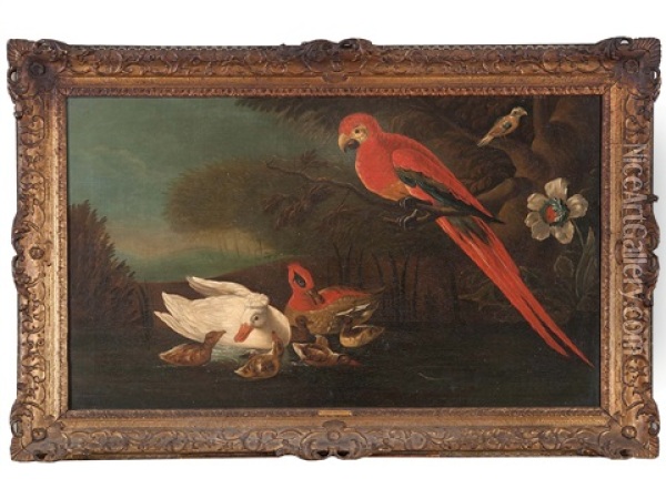 Parrot And Ducks In A Lake Landscape Oil Painting - Jakob Bogdani